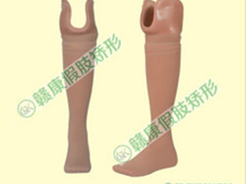 骨骼式小腿假肢